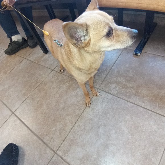 @luckygirl1609 Come & join Everyone is welcome💖 - Picture 9 of 16